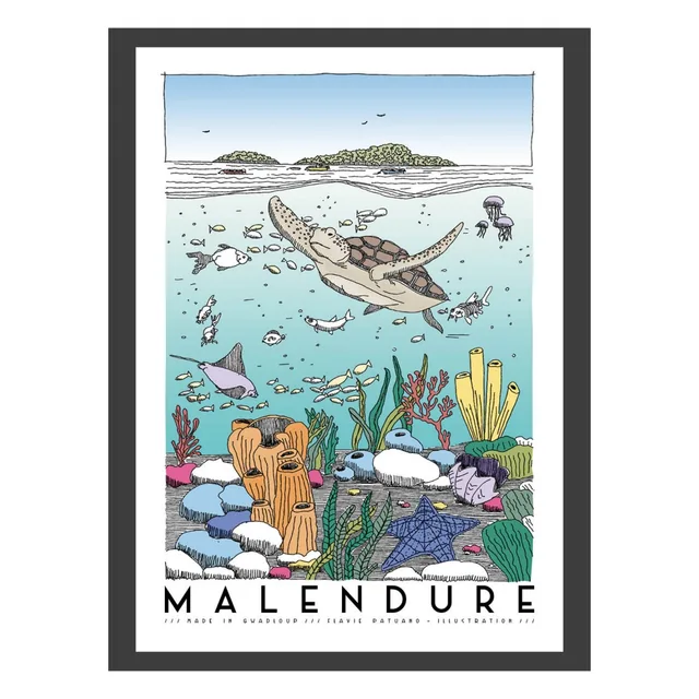 affiche  Malendure