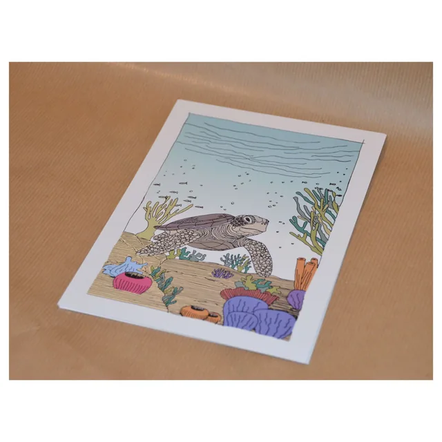 carte tortue
