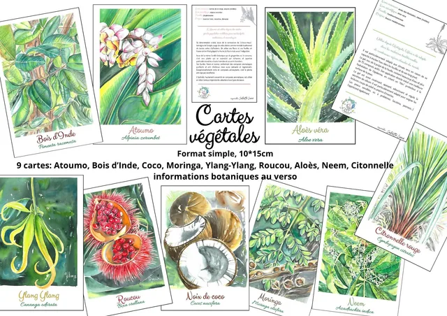 9 cartes végétales aquarelle 10*15cm
