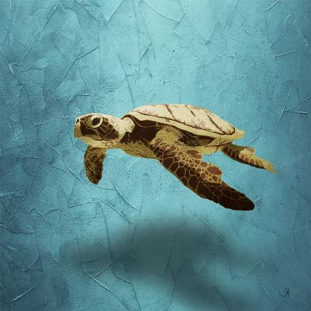 Rêverie Aquatique