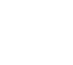 Trip Advisor